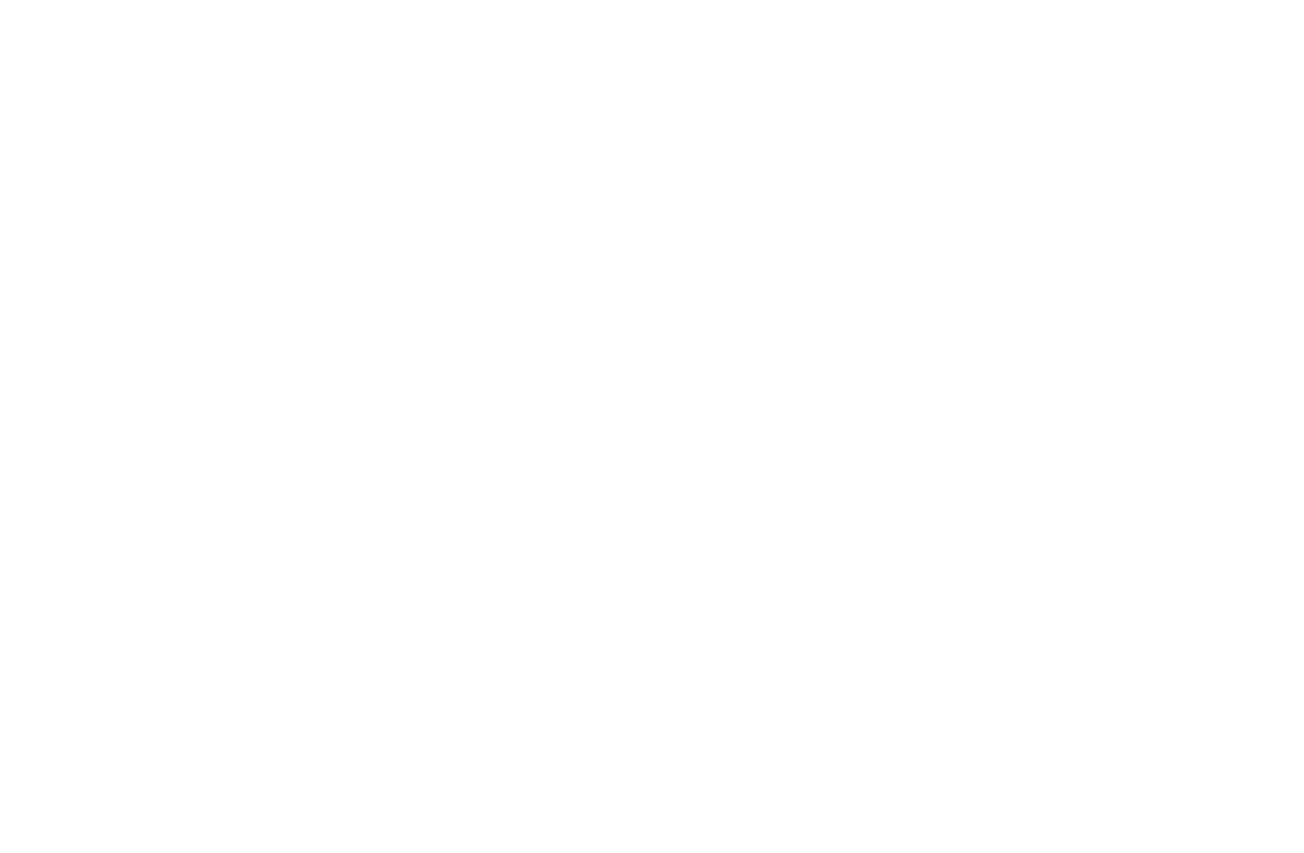 Chile Parabrisas